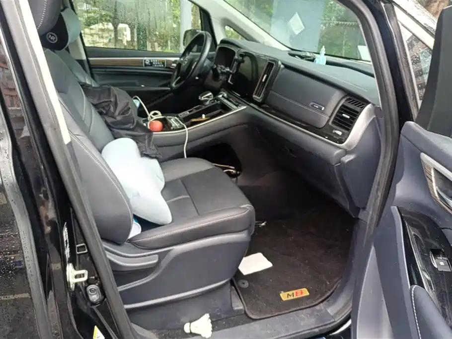 GAC Trumpchi Trumpchi M8 2023 Leading Series 390T Prestige Edition фото 8