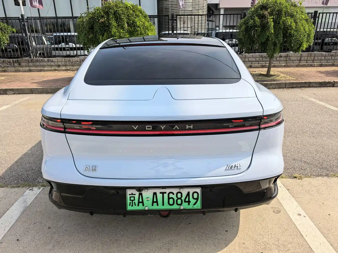Voyah Passion 2024 2023 AWD Long Range