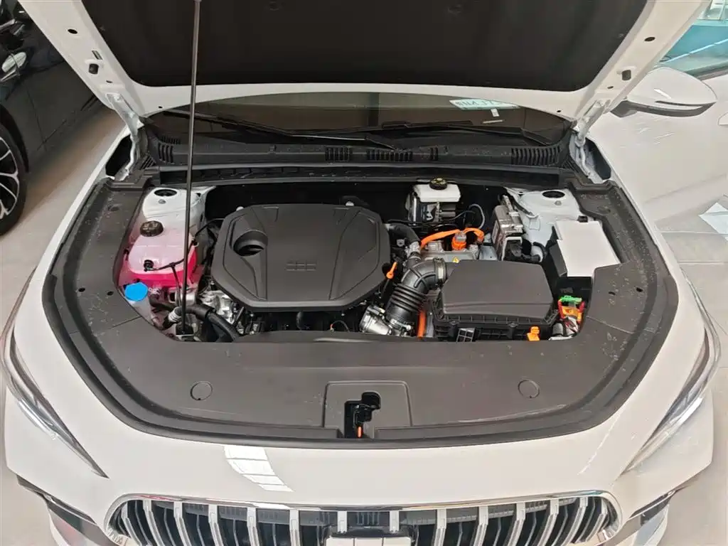 Geely Galaxy Galaxy Stellar 6 2025 Model 60km Free Edition фото 20