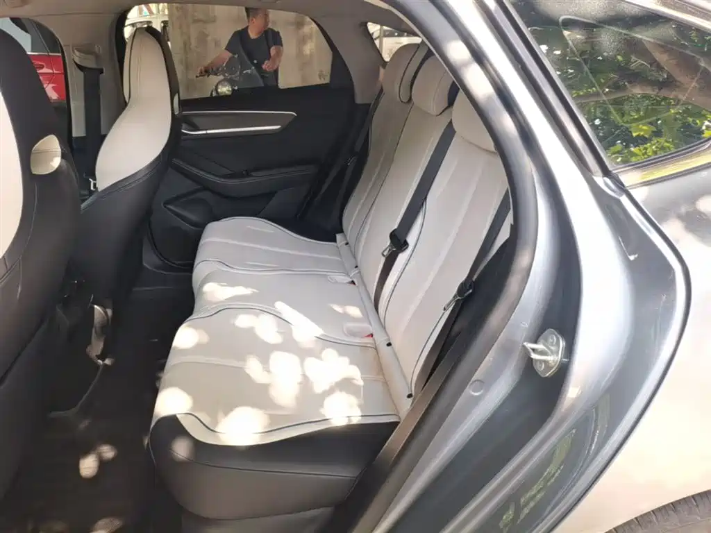 BYD Destroyer 05 2024 Glory Edition DM-i 55KM Luxury фото 17