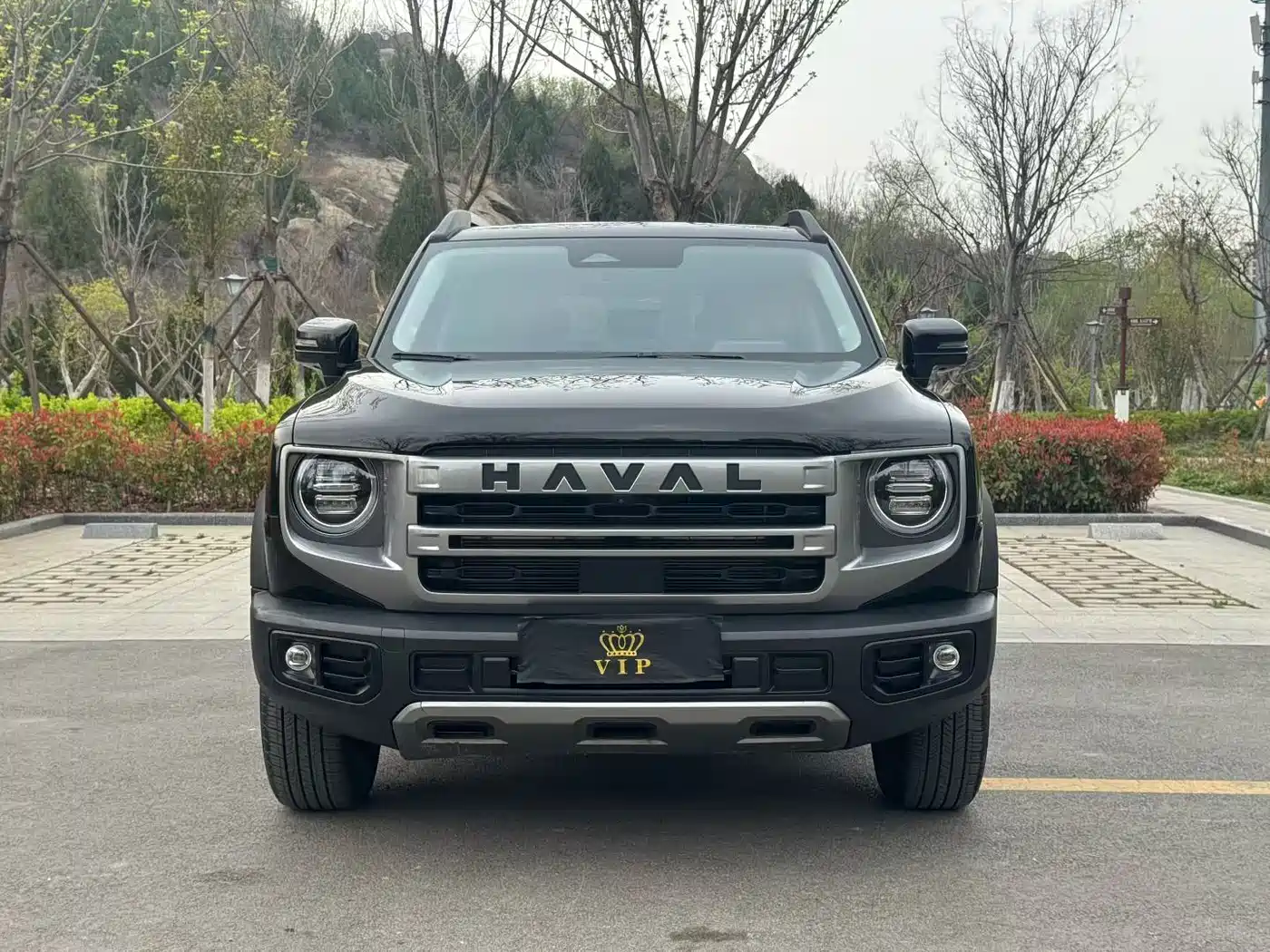 HAVAL BIG DOG