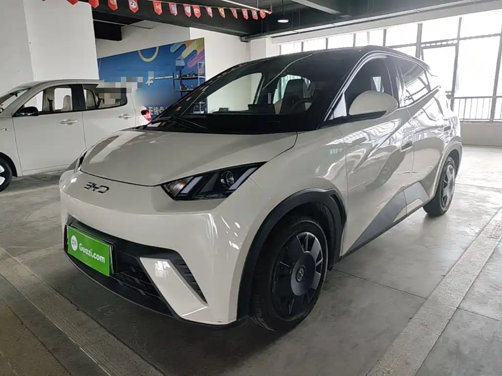 BYD Seagull 2024