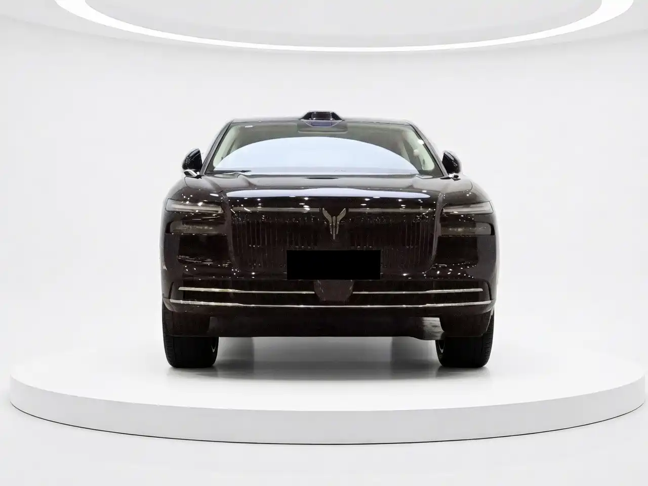 Voyah Auto VOYAH Zhuiguang L 2025 Mid-configuration Model