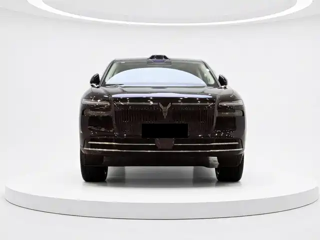 Voyah Auto VOYAH Zhuiguang L 2025 Mid-configuration Model