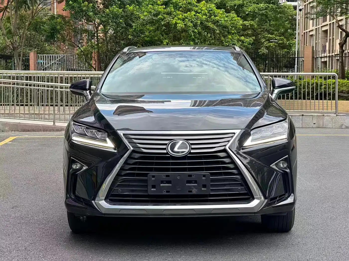 Lexus RX 2016 300 4WD Elegance Edition (China V)
