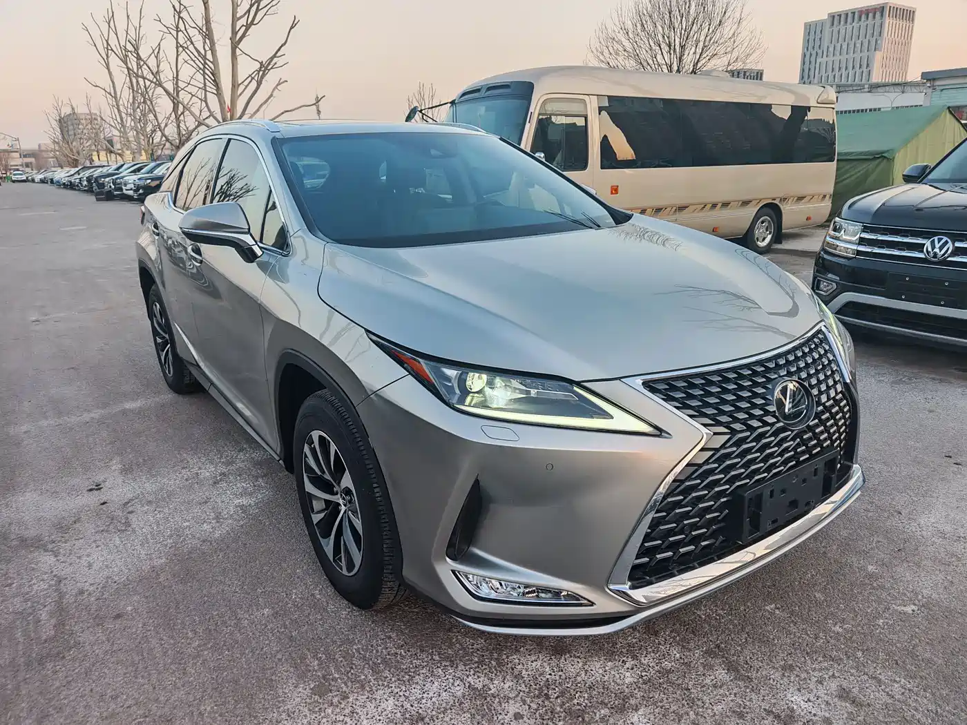 Lexus RX 2020 300 2WD Comfort Edition China V фото 3