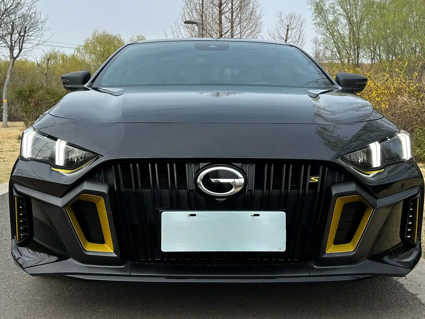 GAC TRUMPCHI SHADOW LEOPARD