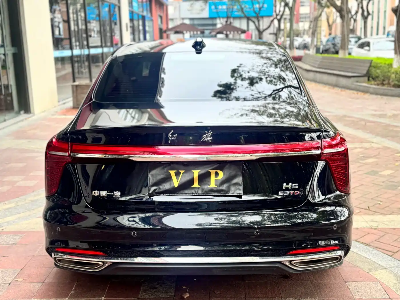 Hongqi H5 2025 1.5T DCT Flag Rhythm 500,000 Units Memorial Edition фото 12
