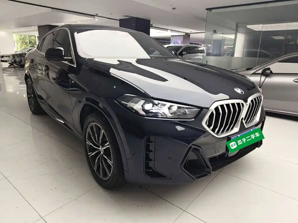 2025 BMW X6