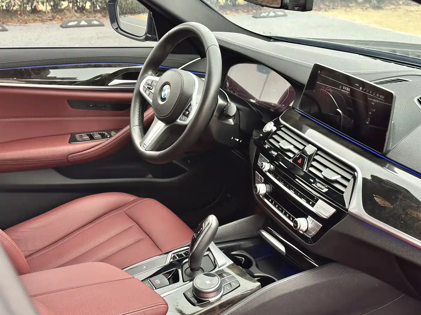 BMW 5 Series 2020 530Li Leading Luxury Package фото 13