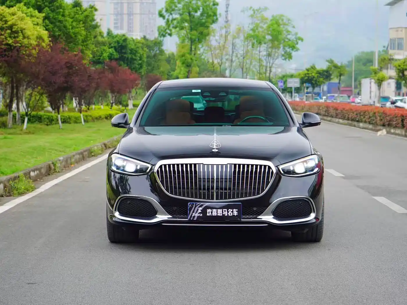 Mercedes-Benz Maybach S-Class 2023 S 480 4MATIC фото 2