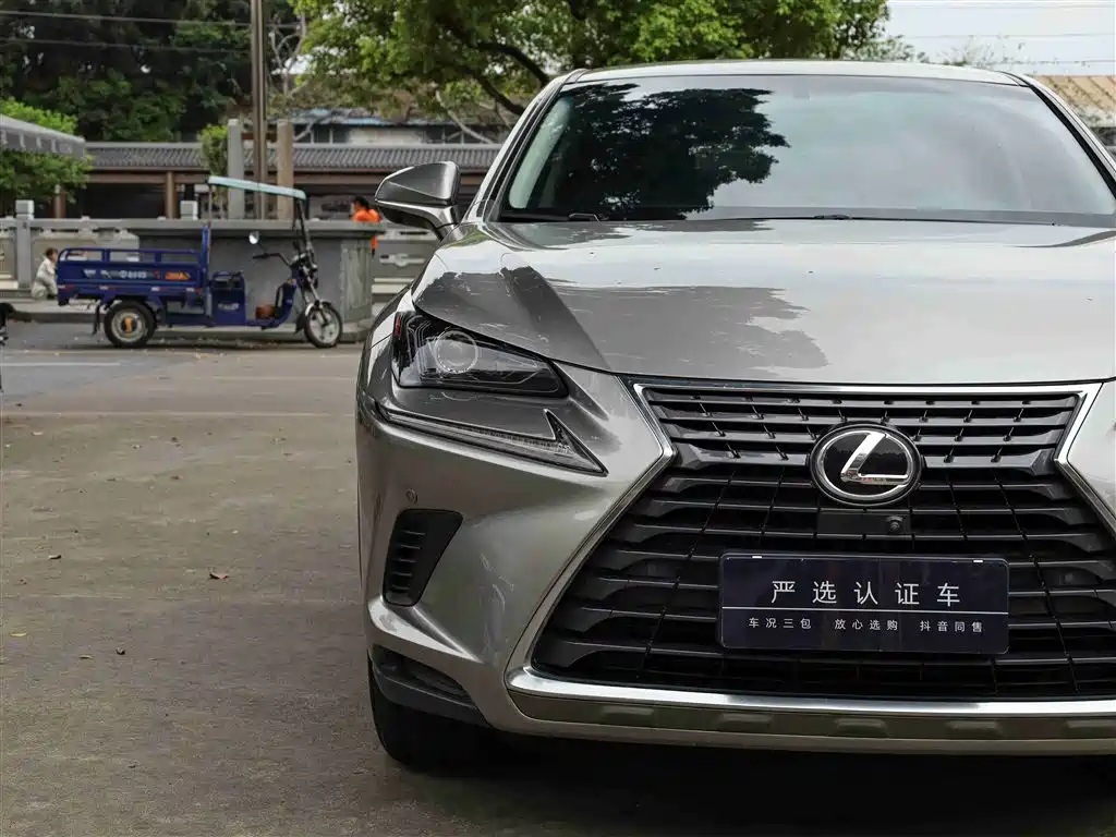 Lexus NX 2018 Model 200 FWD Fengxing Edition China V фото 21