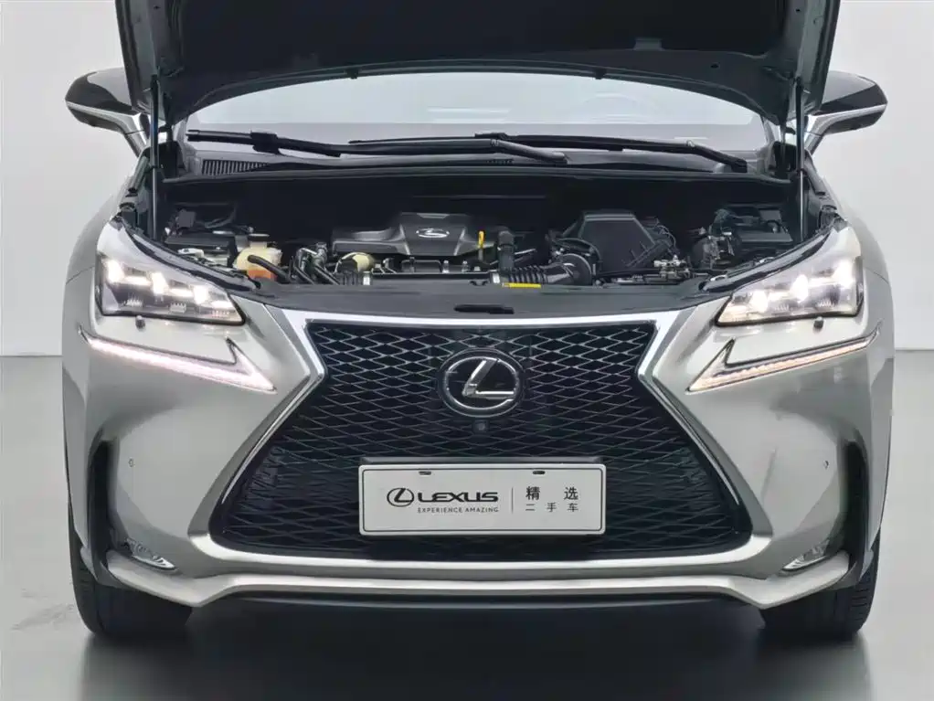 Lexus NX 2015 200t AWD F SPORT фото 3