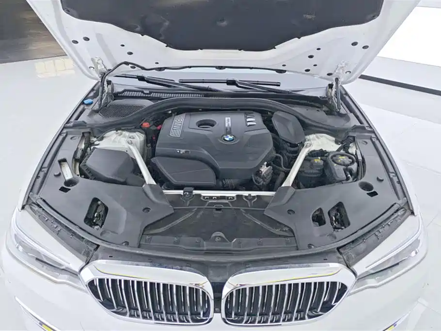 BMW 5 Series 2019 530Li Premium Luxury Package фото 10