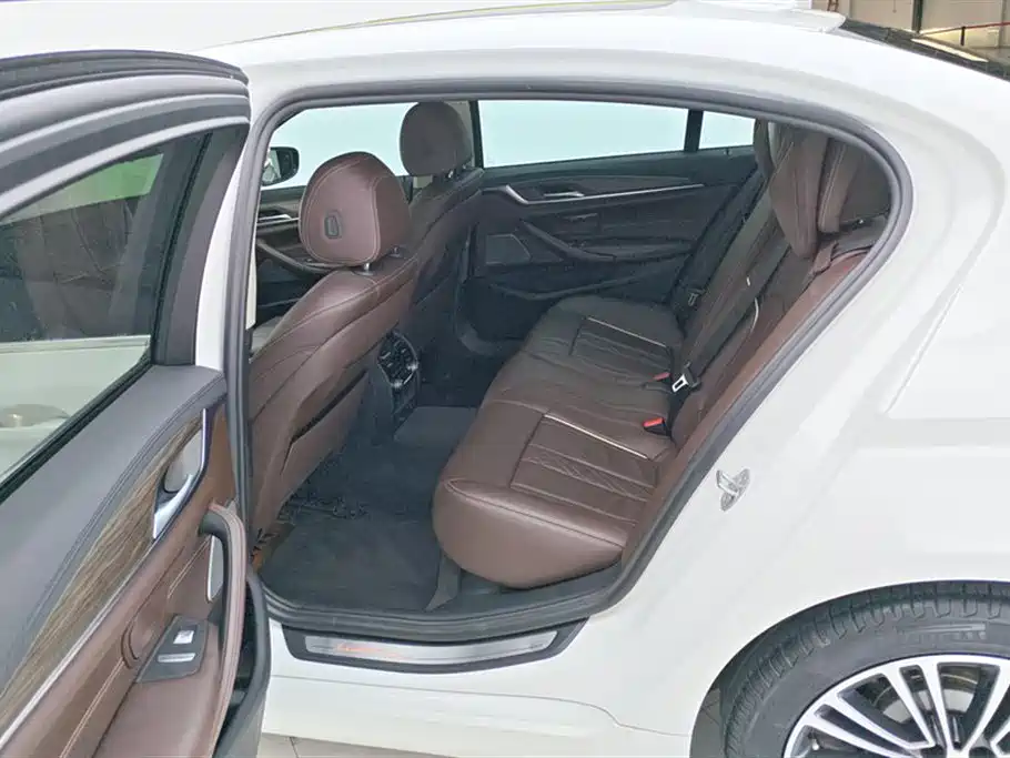 BMW 5 Series 2019 530Li Premium Luxury Package фото 11