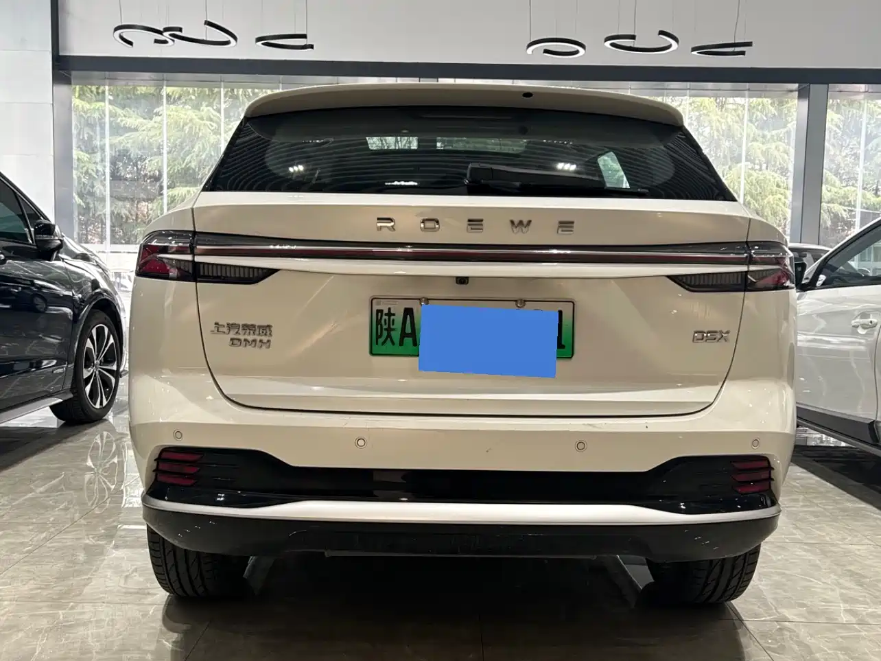 ROEWE D5X DMH
