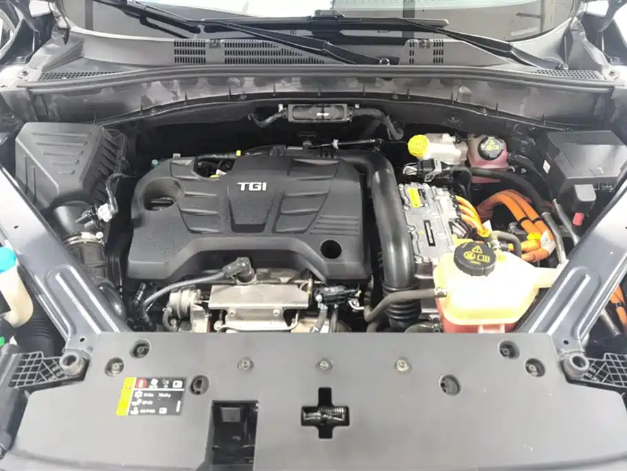 Roewe RX5 New Energy 2022 2021 Model ePLUS National Trend Ronglin Luxury Edition