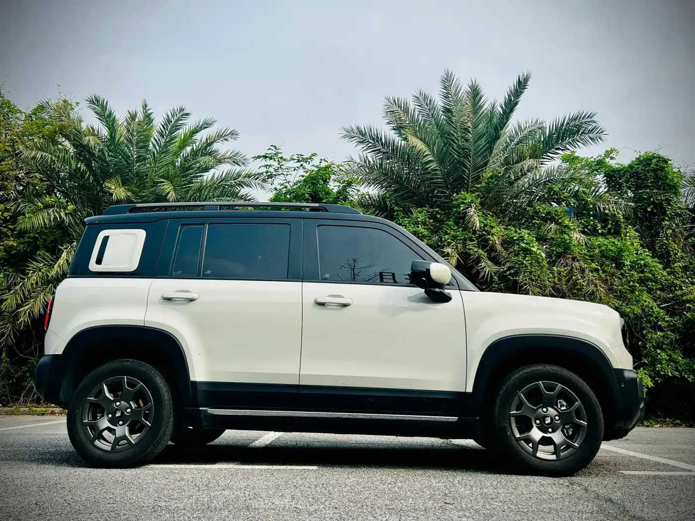 BAOJUN YUE ALSO PLUS