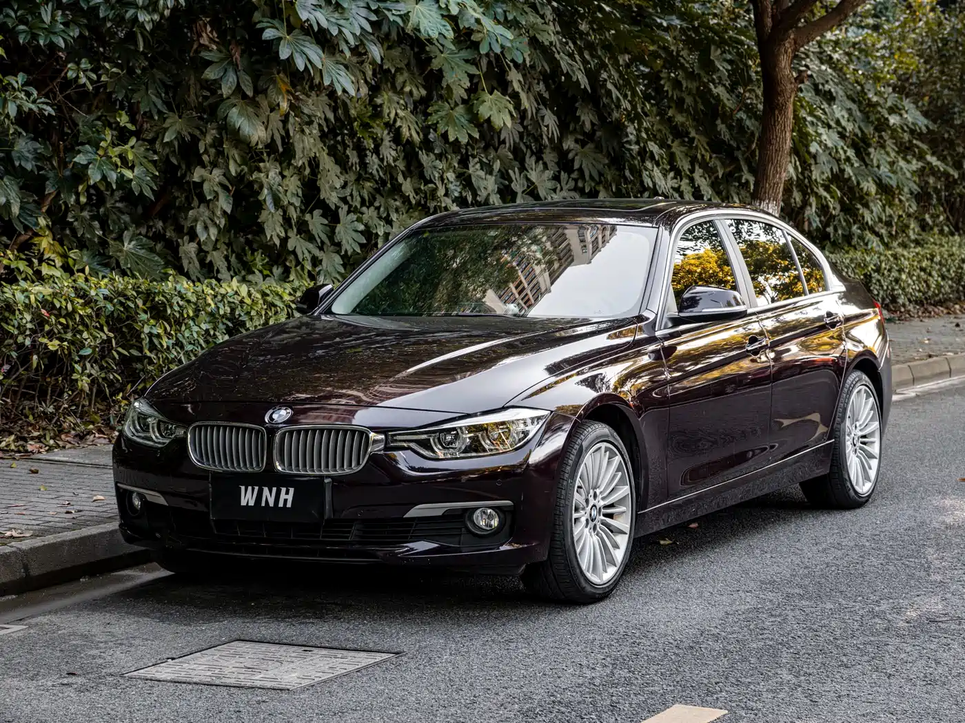 BMW 3 Series 2018 320Li Fashion Style