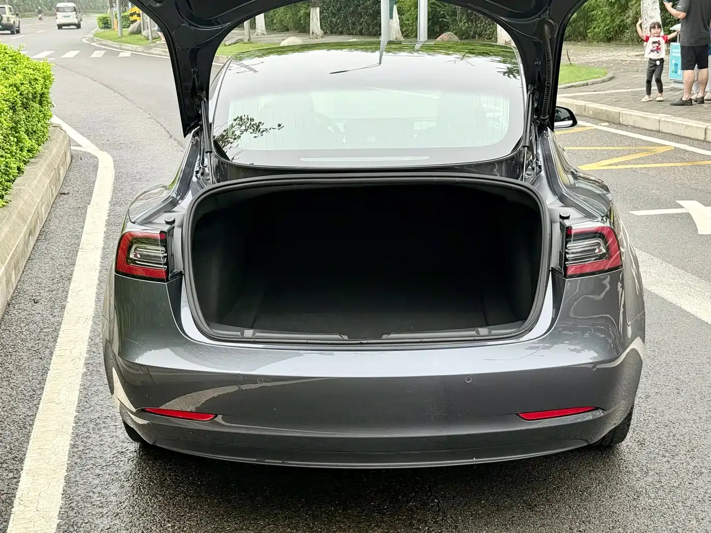 Tesla Model 3 2020 2020 Standard Range Rear-Wheel Drive Upgrade