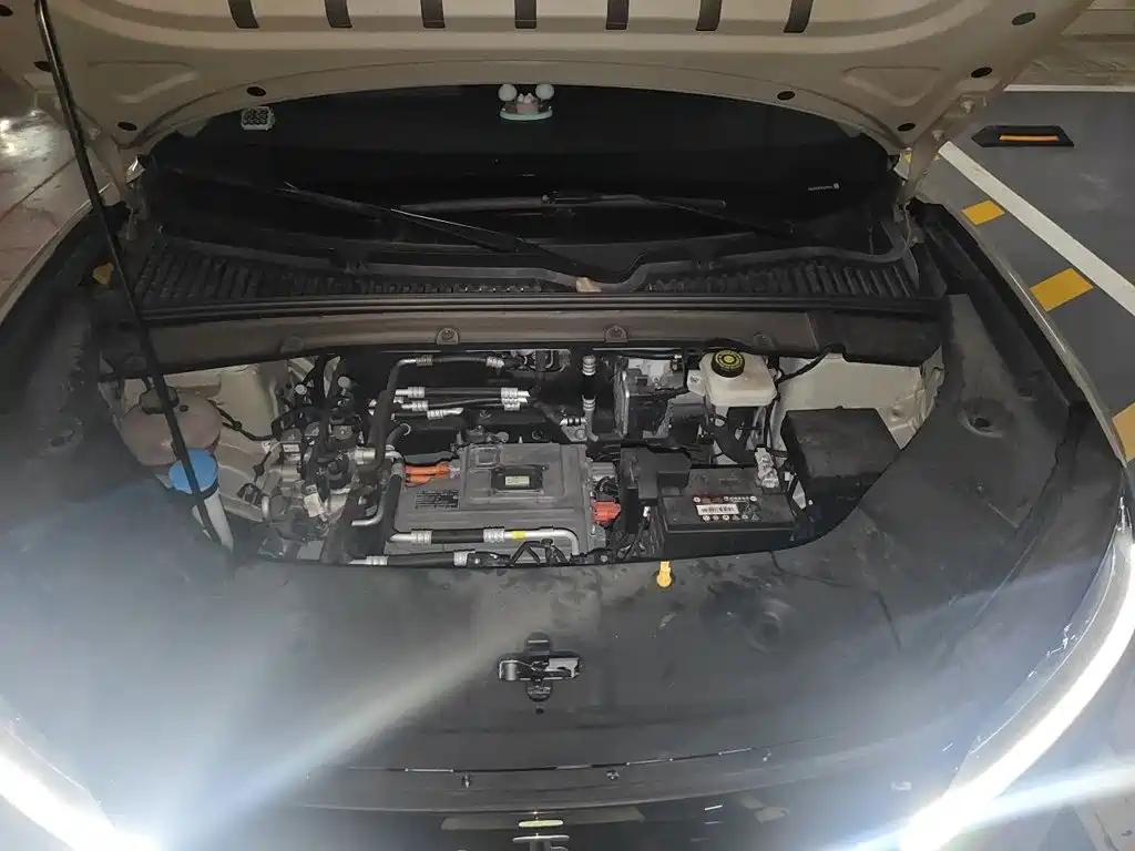 BYD Yuan UP 2024 2024 401KM Surpass Edition