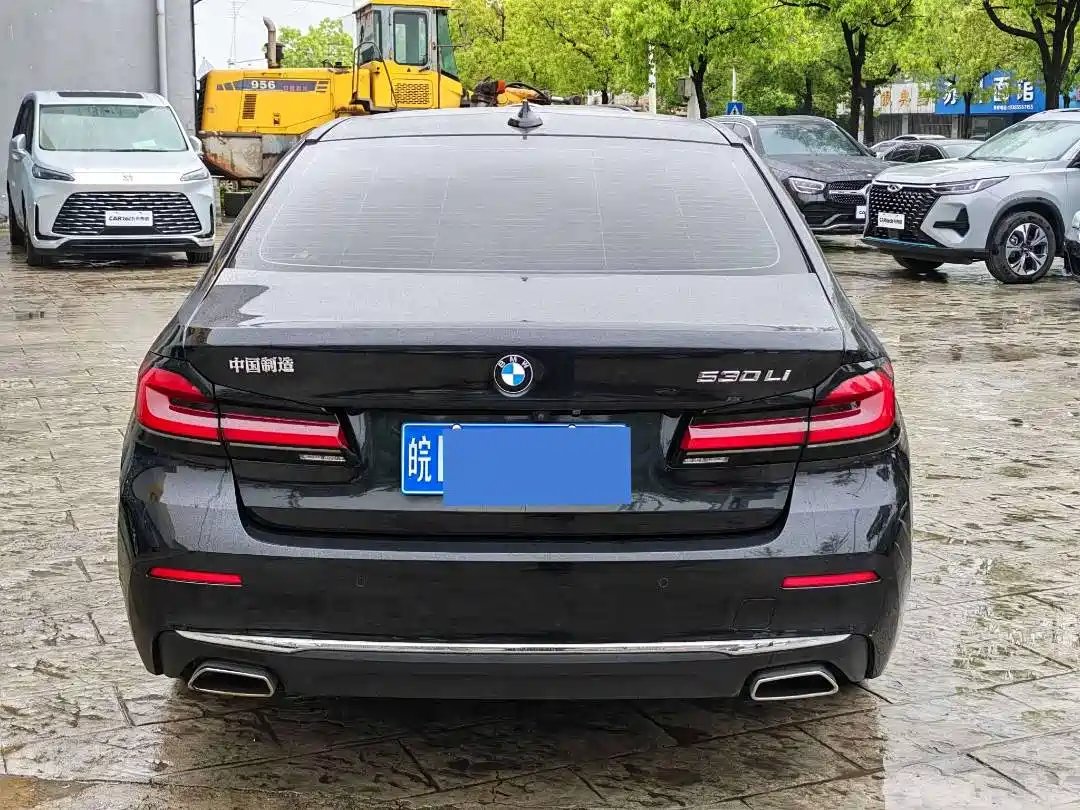 BMW 5 Series 2021 530Li Premium Luxury Package фото 10