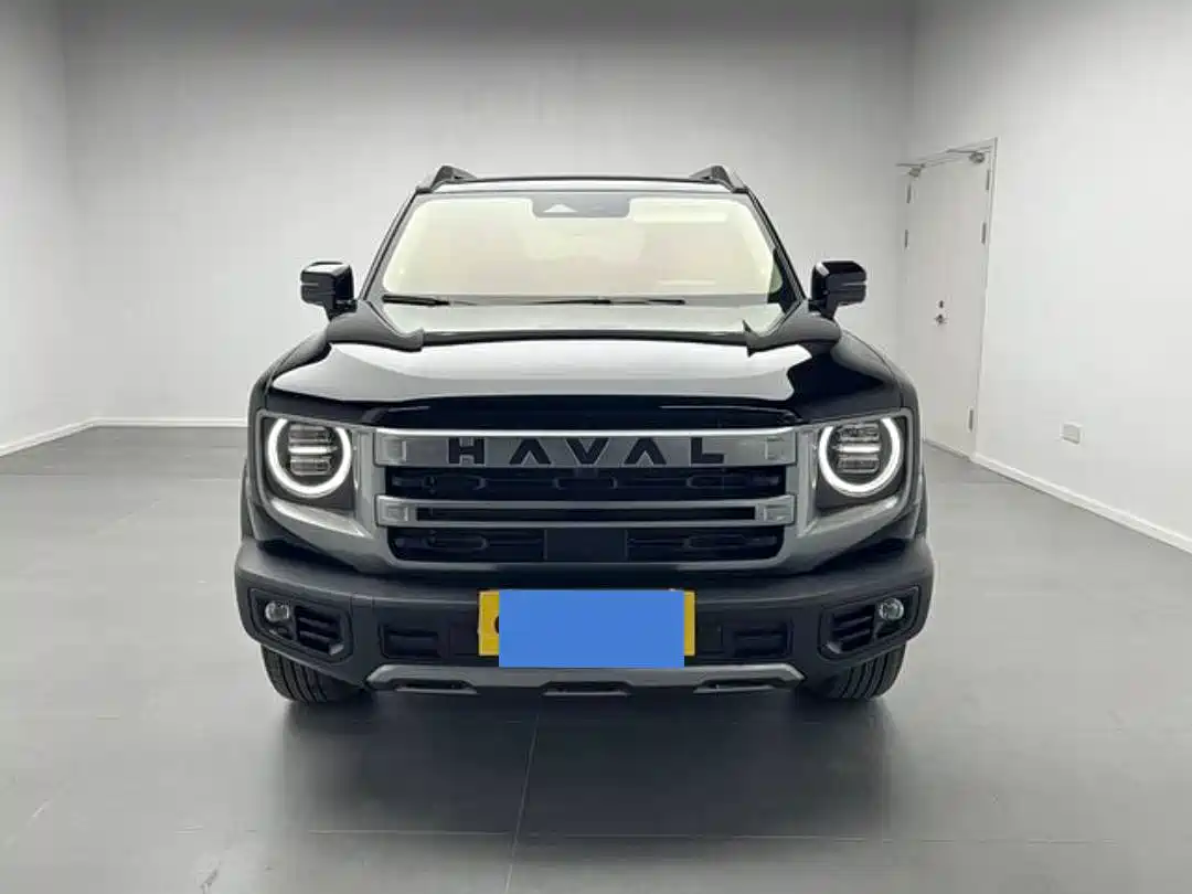 HAVAL BIG DOG