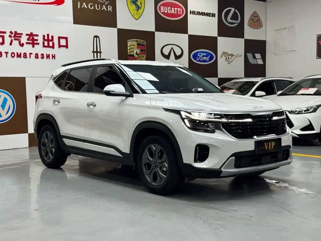 Kia Seltos 2024 2023 1.5L CVT Luxury Edition