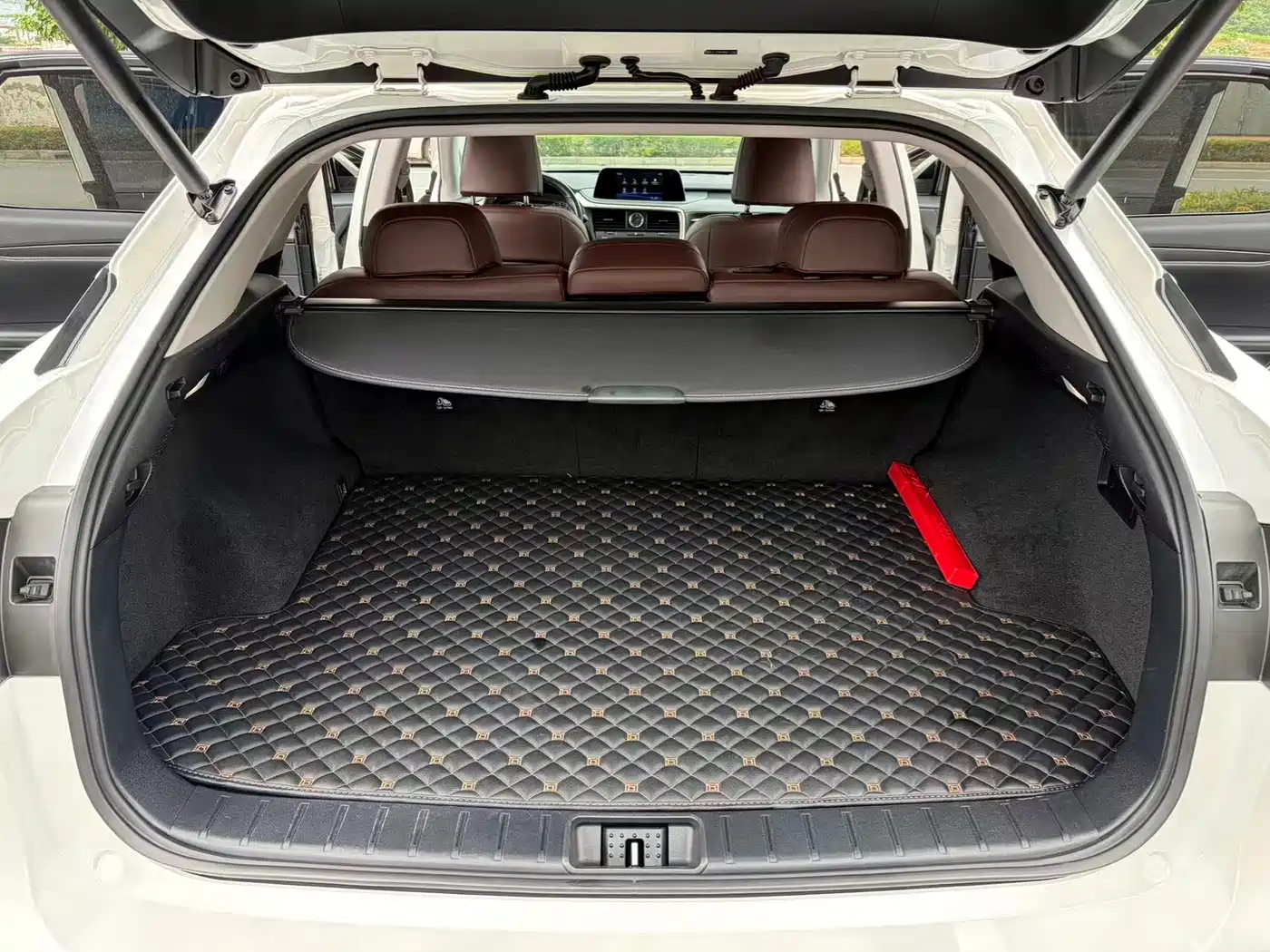 Lexus RX 2020 Facelift 300 2WD Elite Edition фото 9