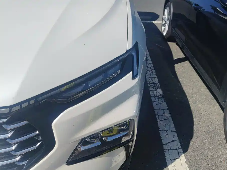 Ford Lingrui 2022 2022 EcoBoost 170 Platinum