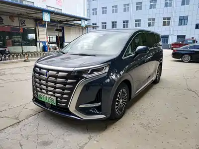Denza D9