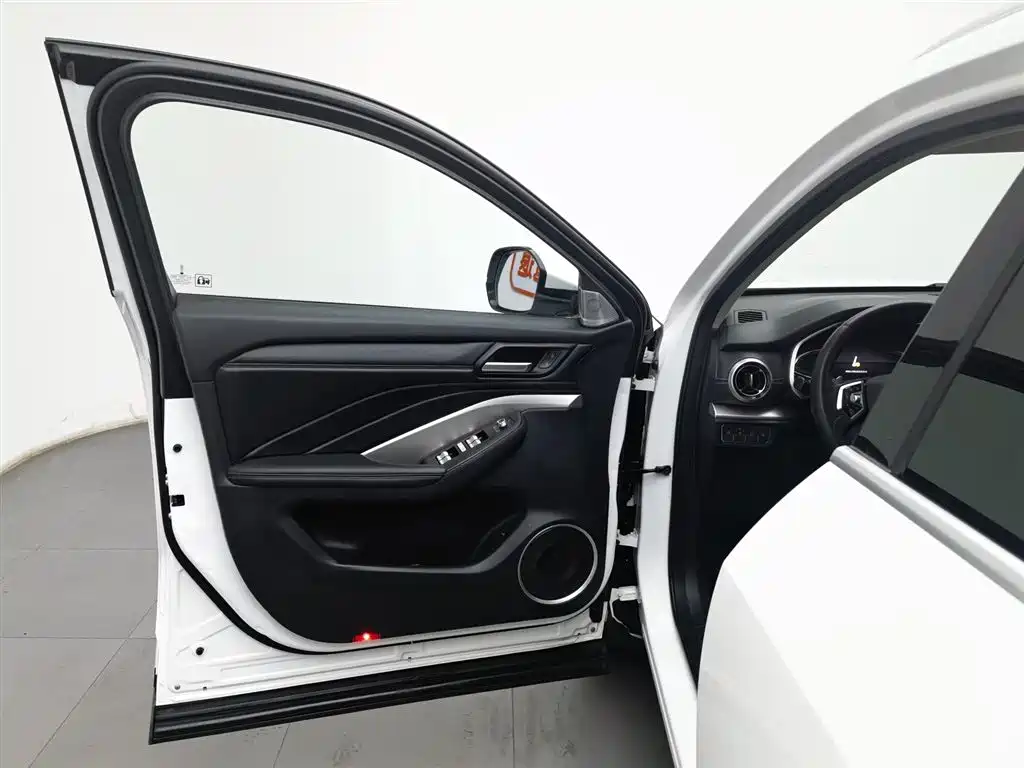 WEI PAI WEI BRAND VV6