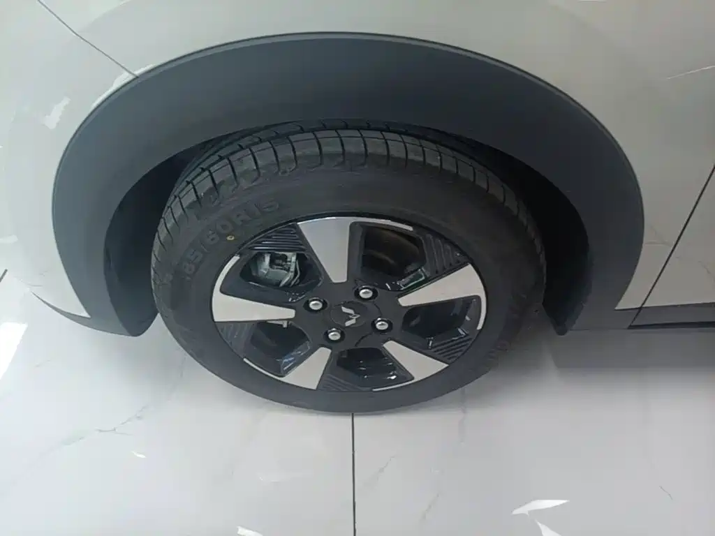 Wuling Motors Wuling Binguo PLUS 2026 2024 401km Range 5-seater