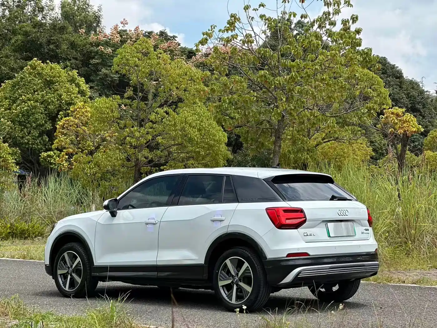 Audi Q2L e-tron 2020 2019 Q2L e-tron Pure Electric Smart Cool Edition