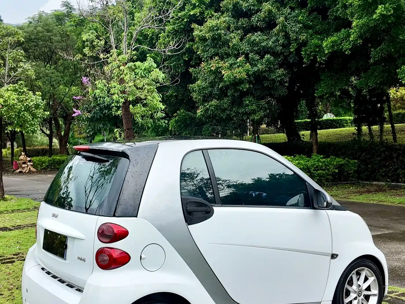 smart fortwo 2013 2013 1.0 MHD Hardtop Urban Ranger Special Edition
