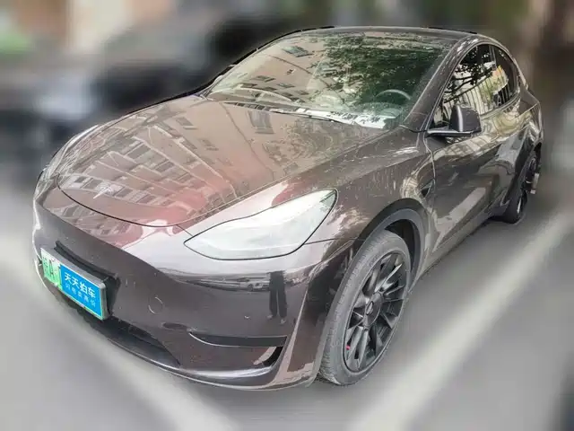 Tesla Model Y 2022 Rear-Wheel Drive Version — фото 1