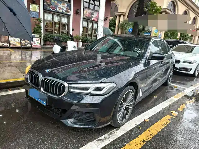 BMW 5 530Li, Лидер, M Спорт-пакет