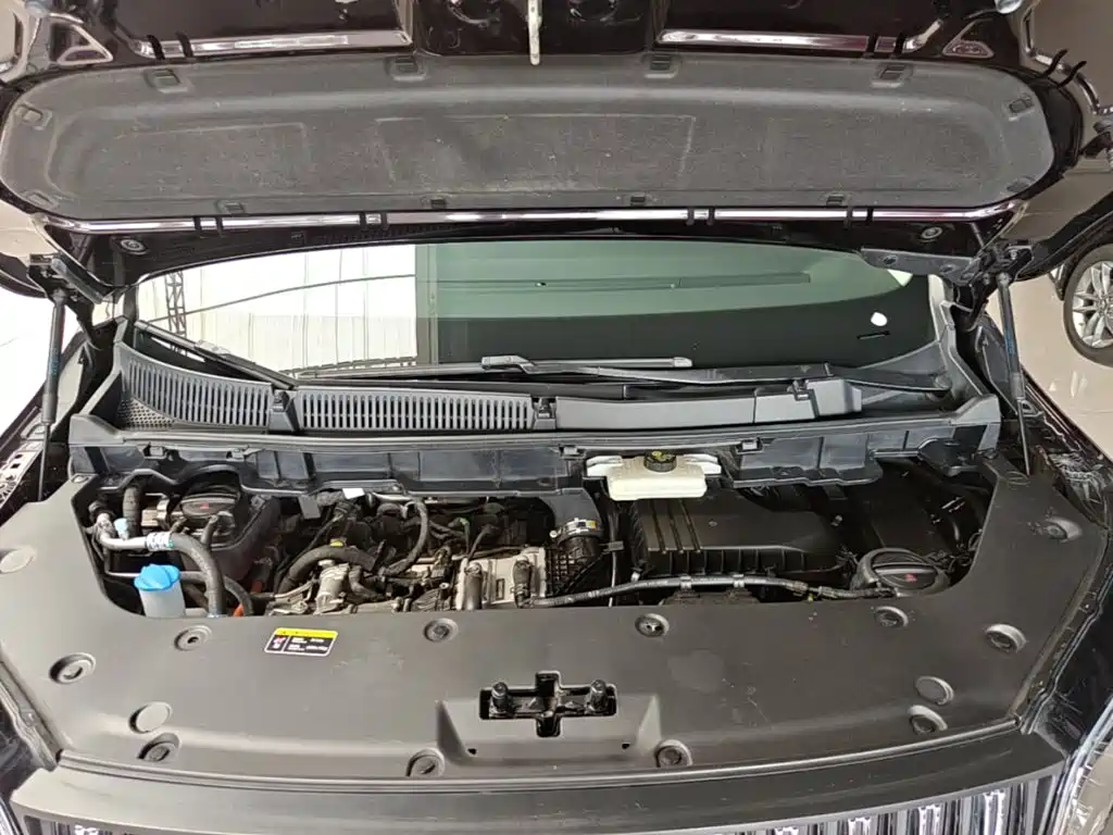 Hongqi HQ9 PHEV 2025 2024 Model 2.0T AWD Business Edition