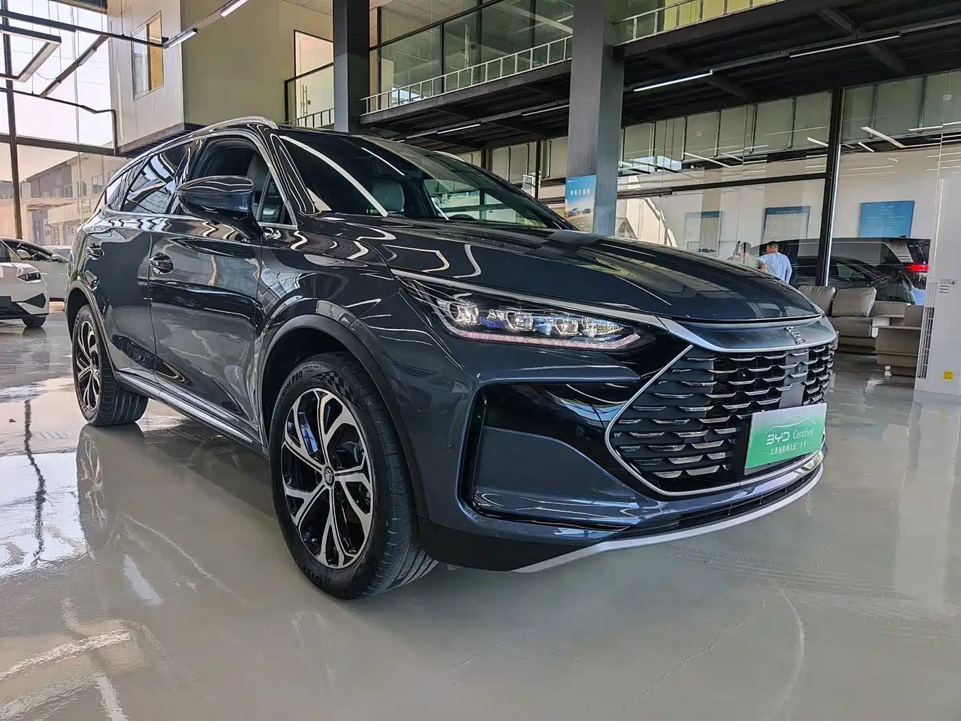 BYD Tang New Energy 2024 2025 DM-i 115KM Prestige Type