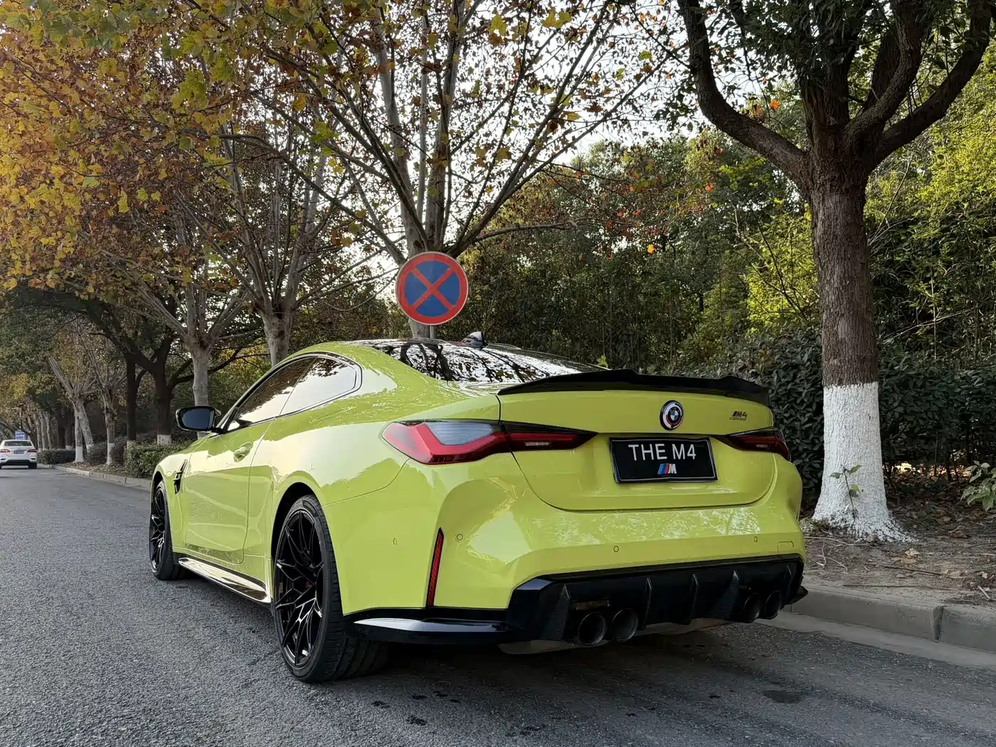 BMW M4 2022 M4 Coupe M xDrive Thunder Edition фото 5