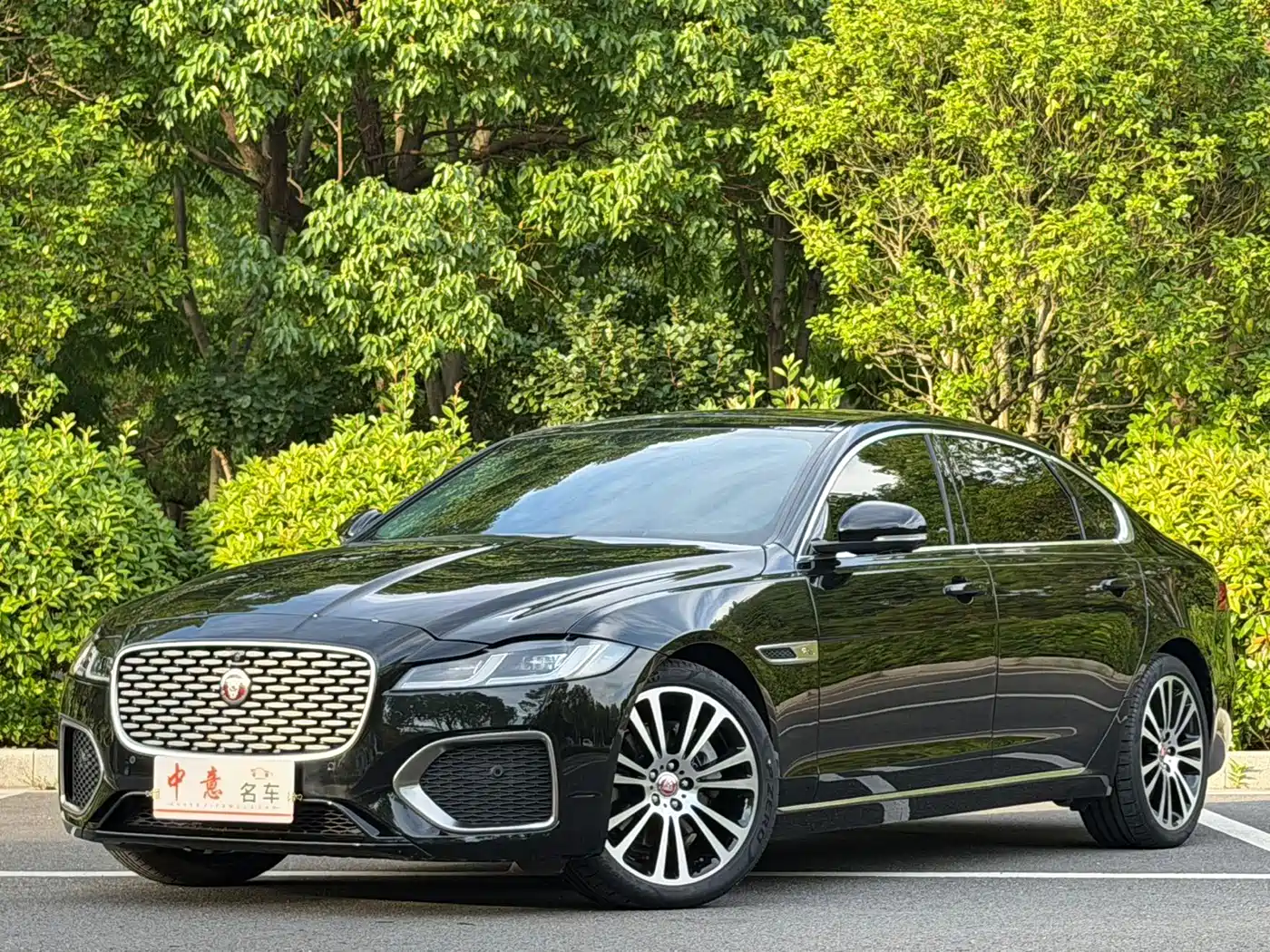 Jaguar XFL 2024 2.0T P250 2WD Premium Luxury