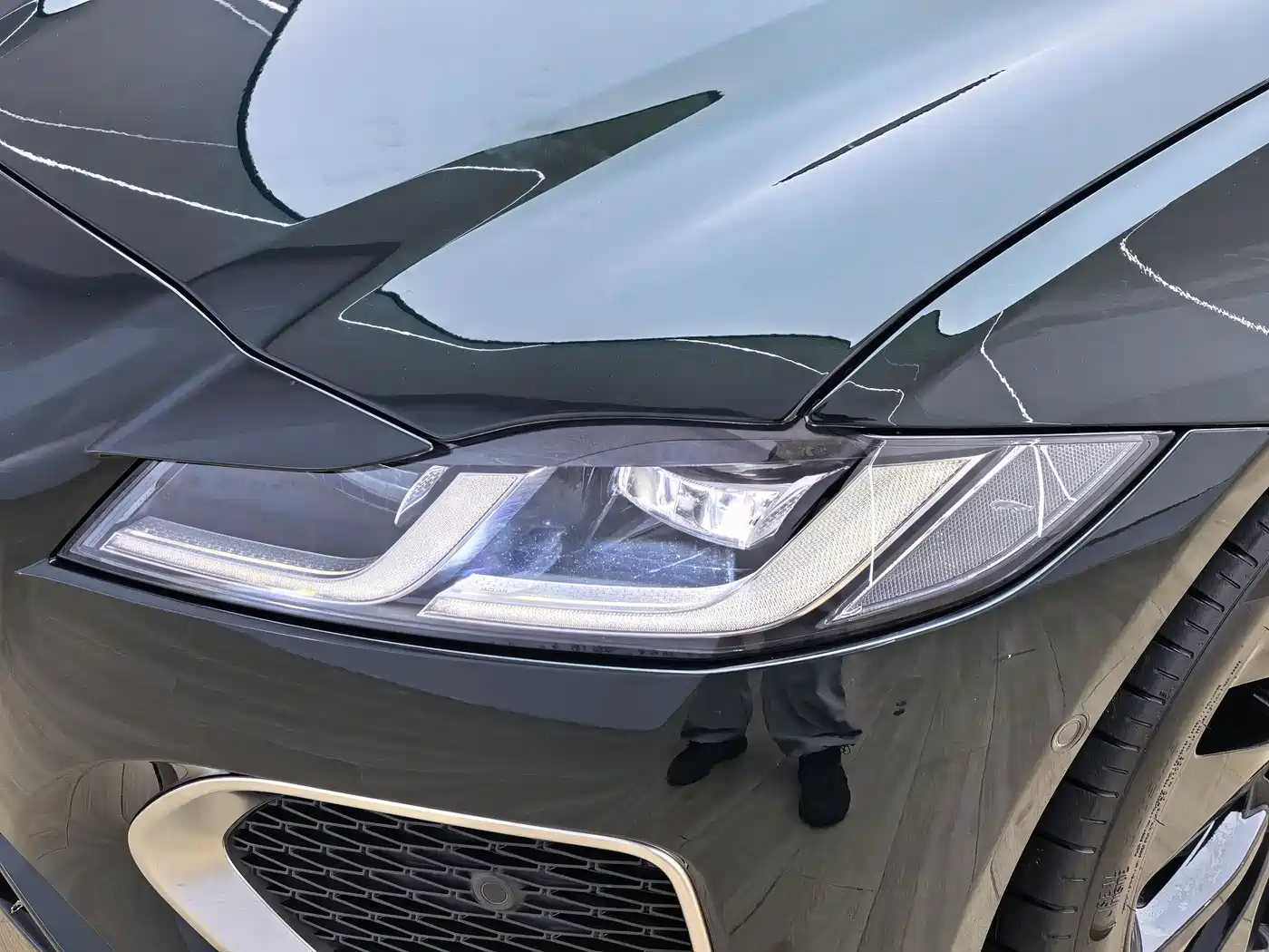 Jaguar XFL 2025 2024 2.0T P250 2WD Premium Luxury