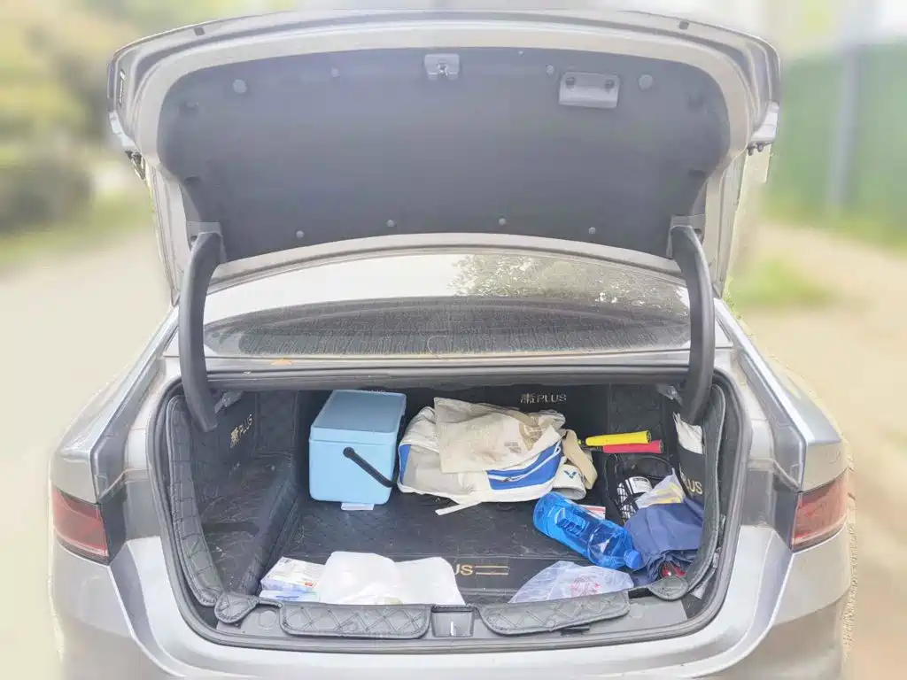 Фото 5 - BYD Qin PLUS
