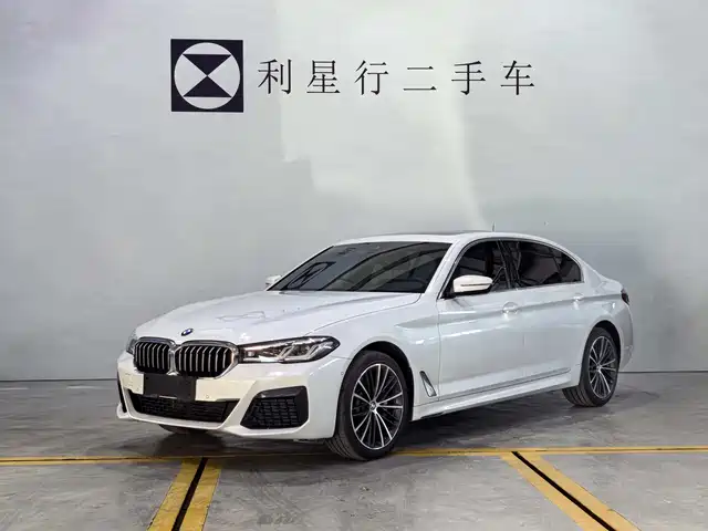 BMW 5 530Li, Лидер, M Спорт-пакет