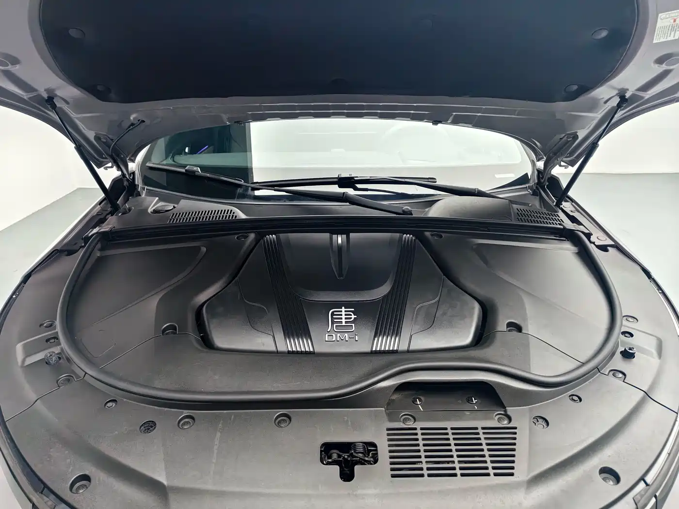 BYD Tang New Energy 2025 2025 Smart Driving Edition DM-i 115KM Flagship