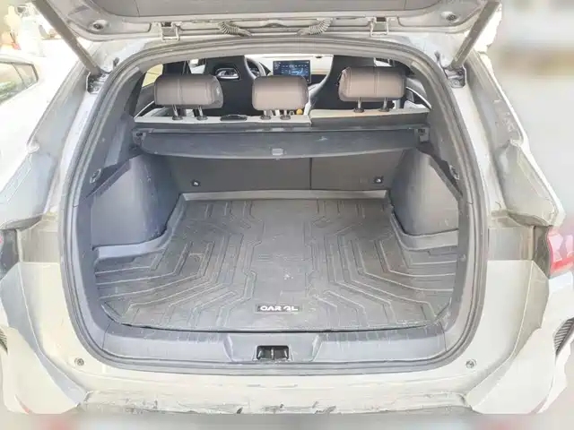 BYD Song PLUS PHEV 2025 EV 520km Premium — фото 5