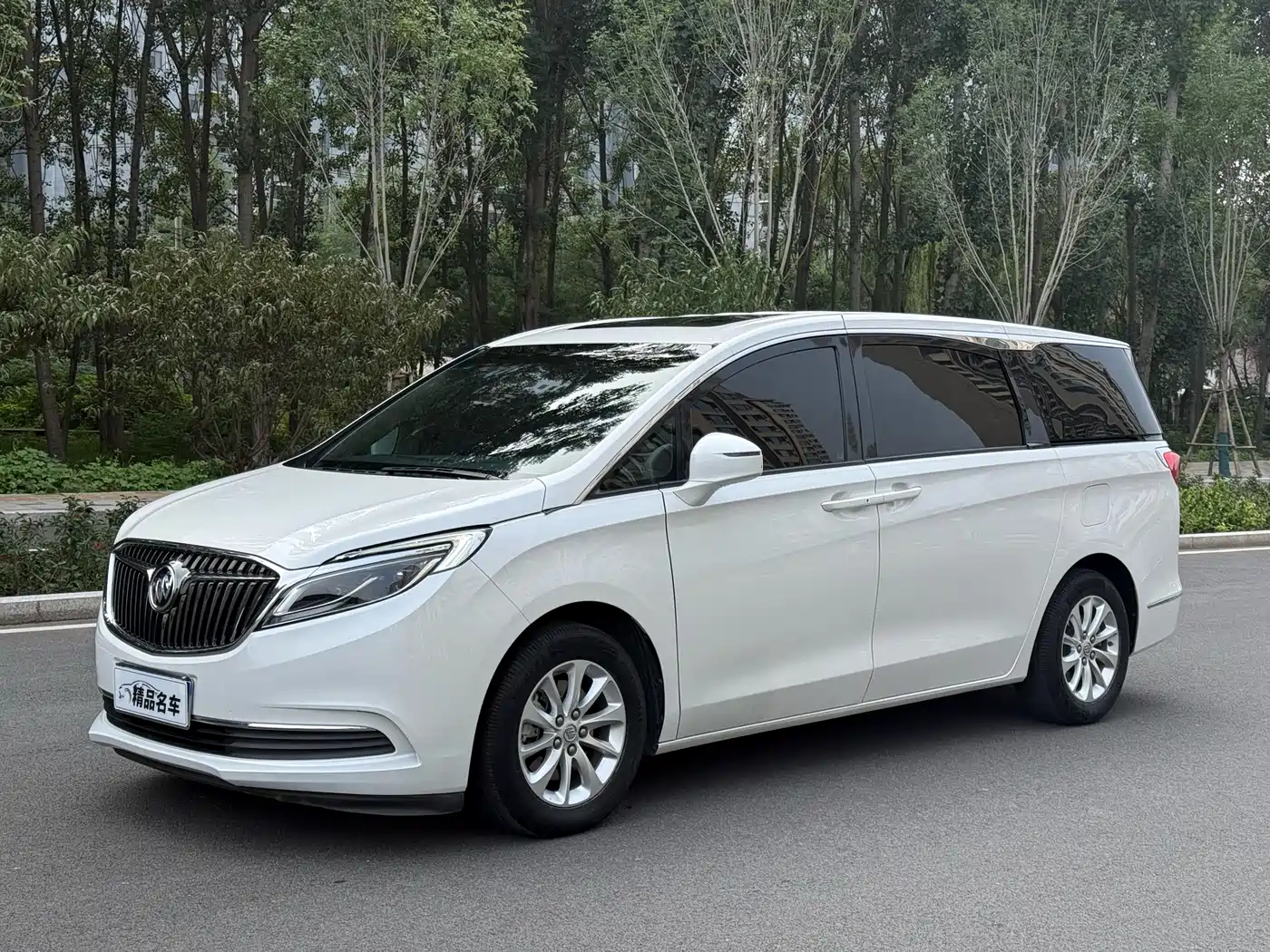 Buick GL8 2017 ES 28T Premium China V