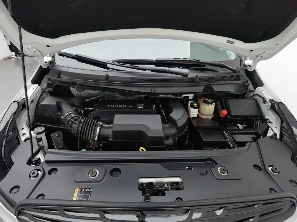 Buick GL8, миниатюра 6