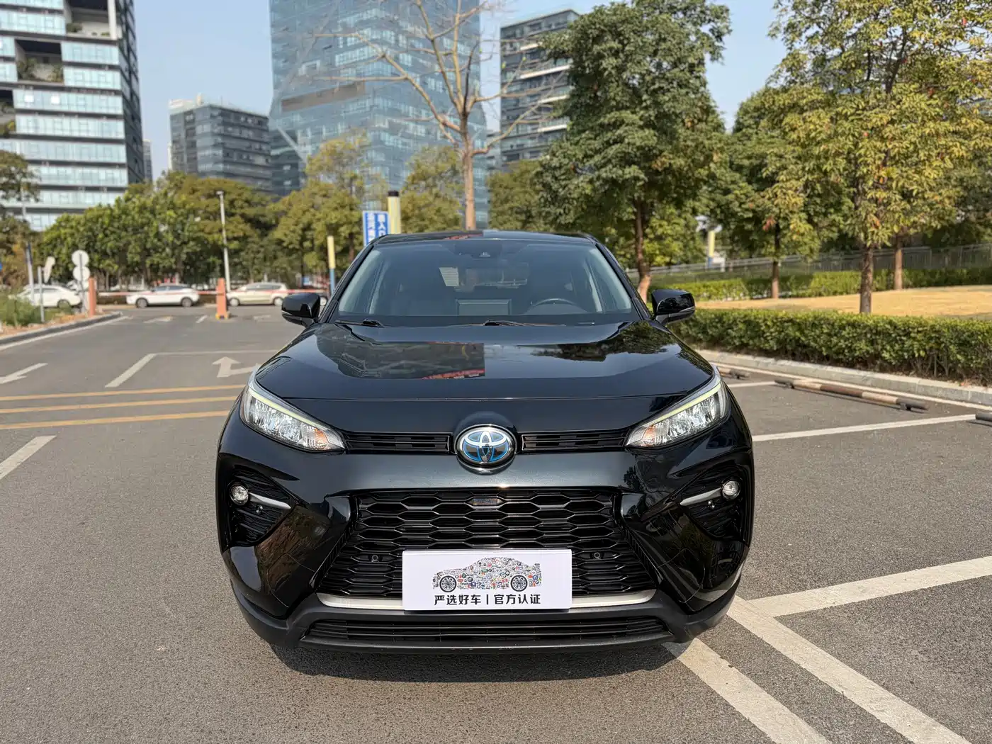 Toyota Wildlander 2021 2021 Hybrid 2.5L E-CVT 2WD Luxury Edition
