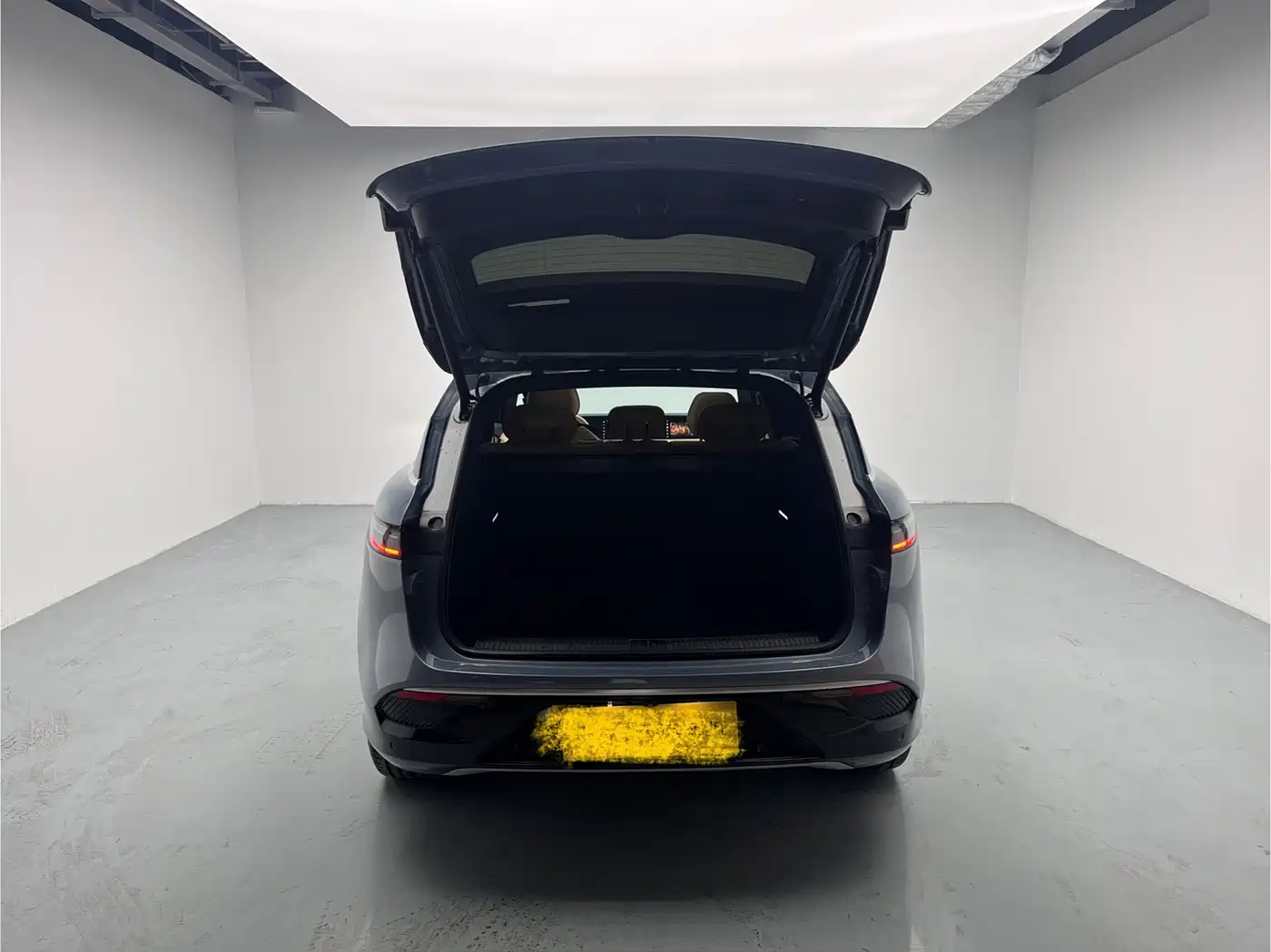 Voyah Auto VOYAH FREE 2021 AWD Standard Range Extender Exclusive Luxury Package фото 10